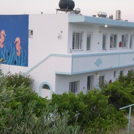 Ipokampos Daire Kéfalos Dış mekan fotoğraf